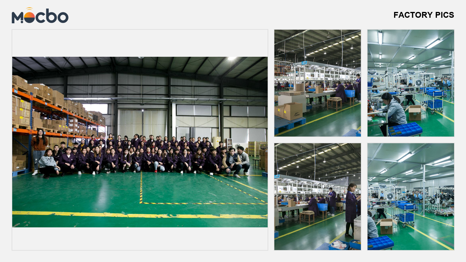 Mocbo factory & team